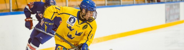 Bild på Ansök till Hockeygymnasium